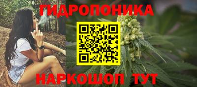 стаф Кунгур