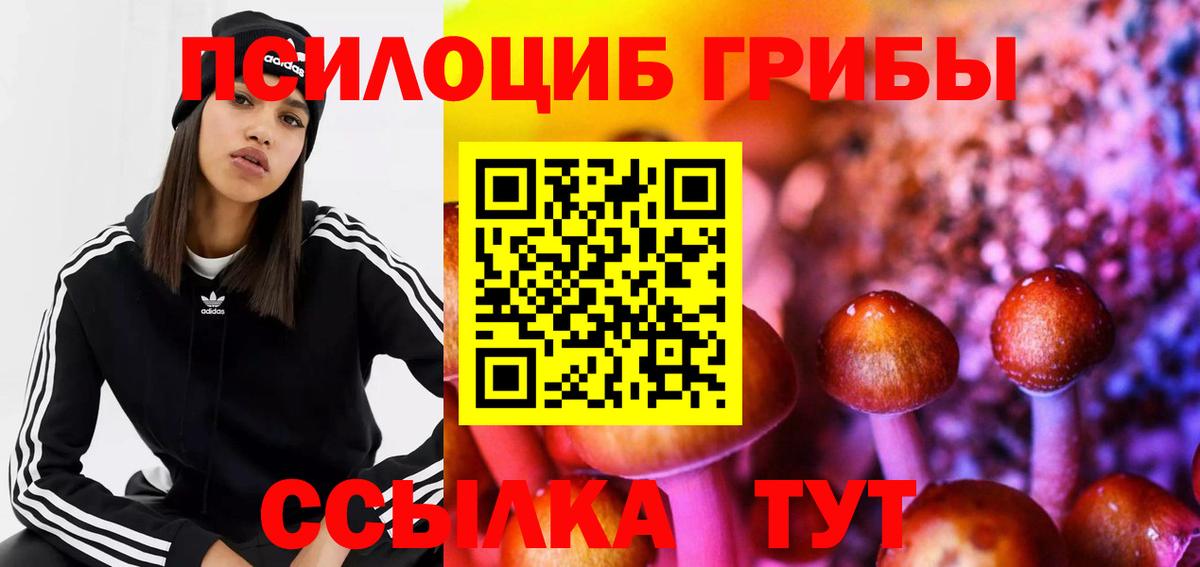 дарнет шоп  Псилоцибиновые грибы Psilocybine cubensis  Киржач  Вход с VPN  Галлюциногенные грибы мухоморы 